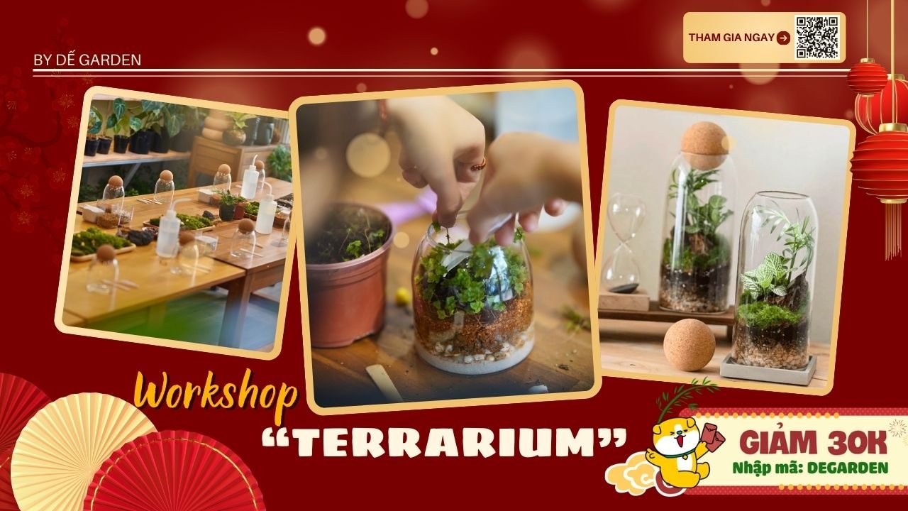 Poster [DẾ GARDEN] Terrarium Workshop
