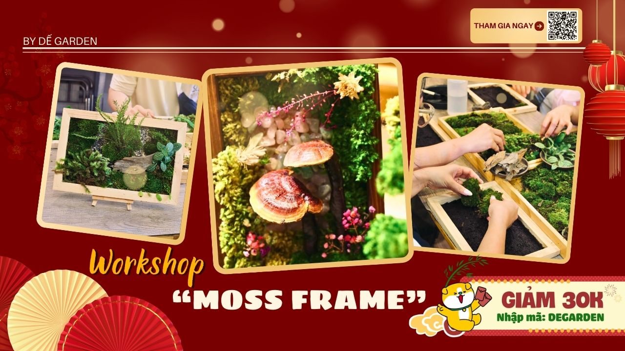 Poster [DẾ GARDEN] Moss Frame Workshop