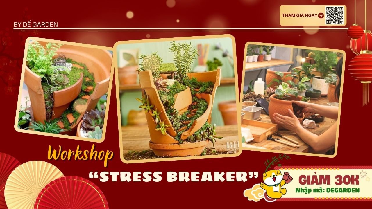 Poster [DẾ GARDEN] Stress Breaker Workshop