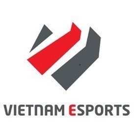 CÔNG TY CỔ PHẦN GIẢI TRÍ VÀ THỂ THAO ĐIỆN TỬ VIỆT NAM