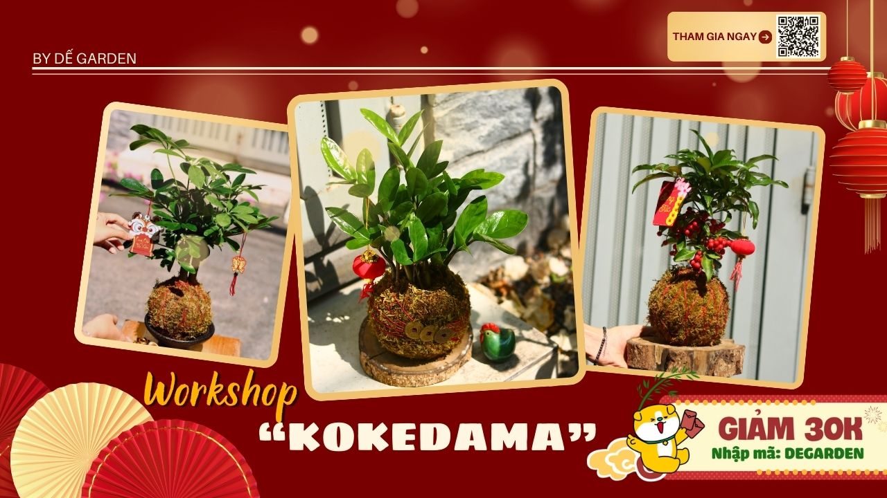 Poster [DẾ GARDEN] Kokedama Workshop